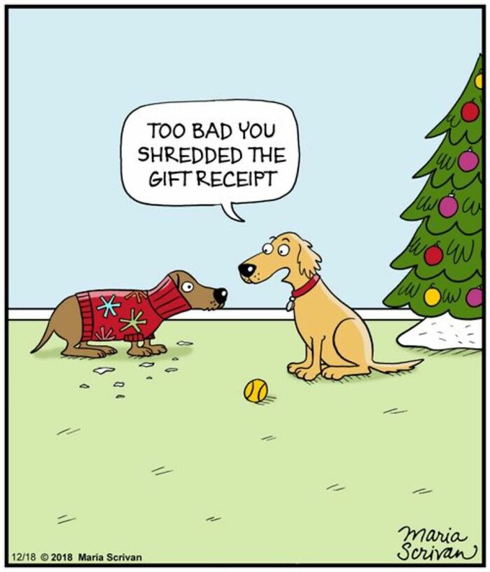 A comic by Maria Scrivan depicting two dogs, one having shredded a gift receipt, a familiar dog moment.