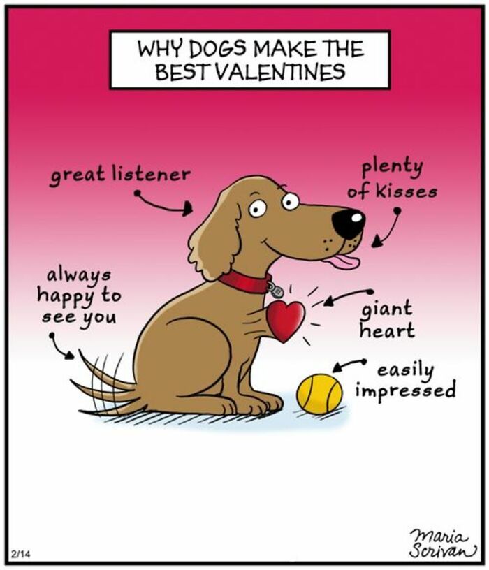 A comic by Maria Scrivan illustrating why dogs make the best Valentines, a familiar sentiment for dog owners.