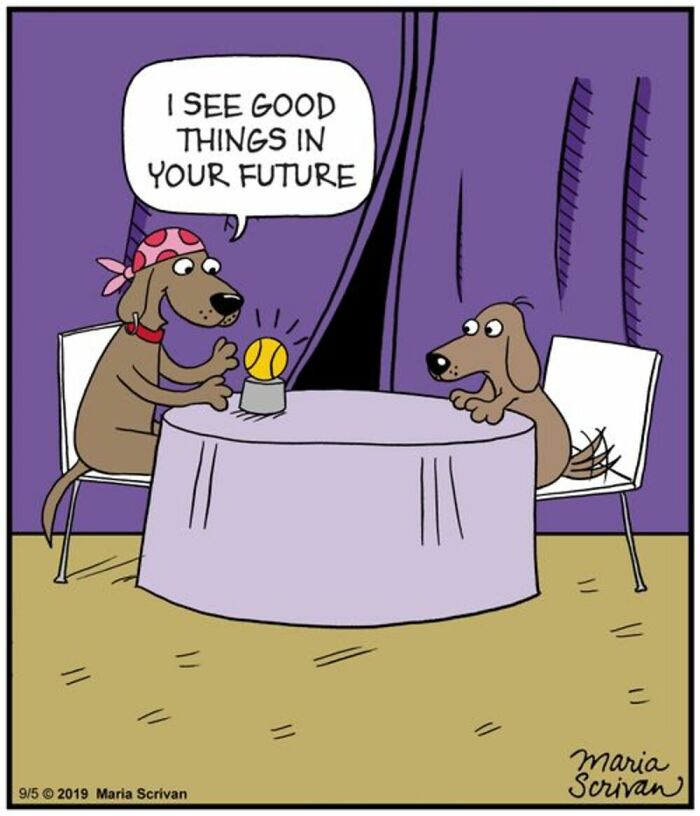 A comic by Maria Scrivan with a dog fortune teller seeing good things in another dog's future, a familiar dog scene.