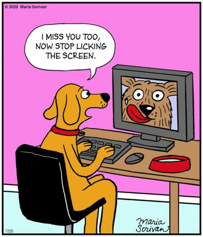 Maria Scrivan comic: A dog video calls another dog on a computer, humorously asking them to stop licking the screen.