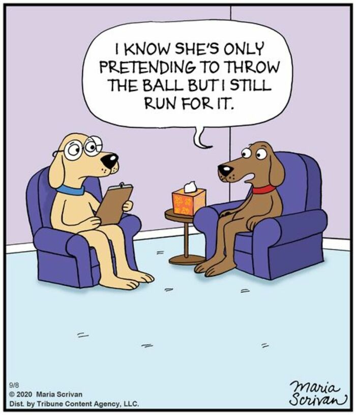 Maria Scrivan comic: A dog at therapy confesses to another dog about running for a ball, even when it is fake thrown.