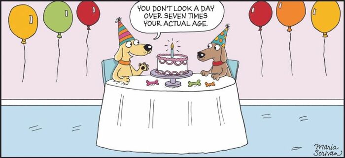 Maria Scrivan comic: Two party hat-wearing dogs celebrate with a birthday cake and balloons, one complimenting the other's age.