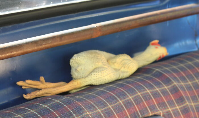 A rubber chicken rests on a plaid car seat, demonstrating a silly solution that works.
