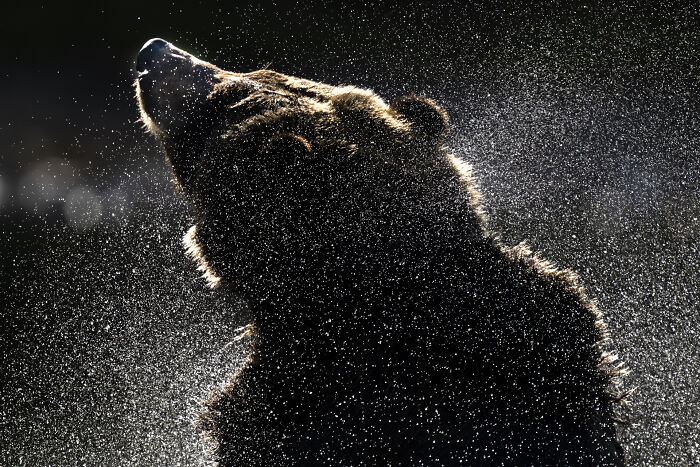 This Photographer Captures The Hidden Patterns That Make Nature Look Like Art (20 Images)