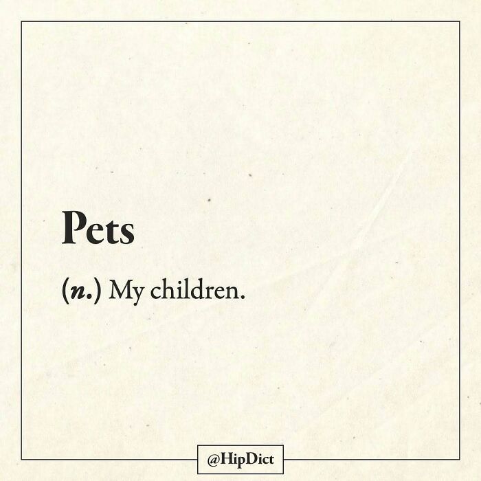 Funny definition of pets as my children from Instagram page redefining words