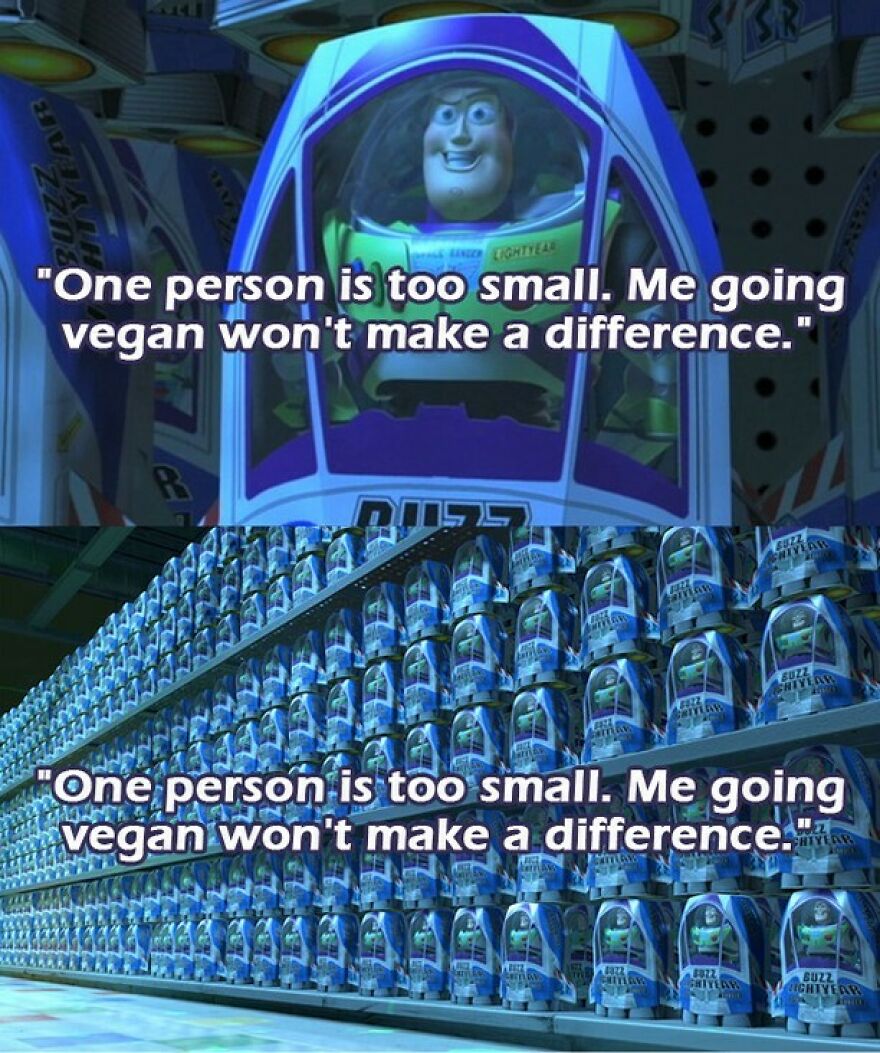 Buzz Lightyear toy shelf illustrating impact of one person going vegan meme