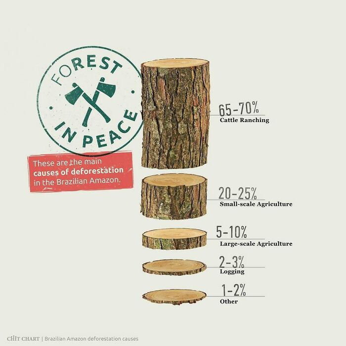 Chart outlining causes of deforestation in the Brazilian Amazon, offering insights to decide faster on conservation efforts.