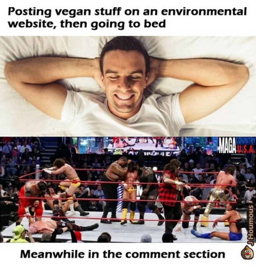 Man smiling in bed above wrestling fight representing vegan post comment battle