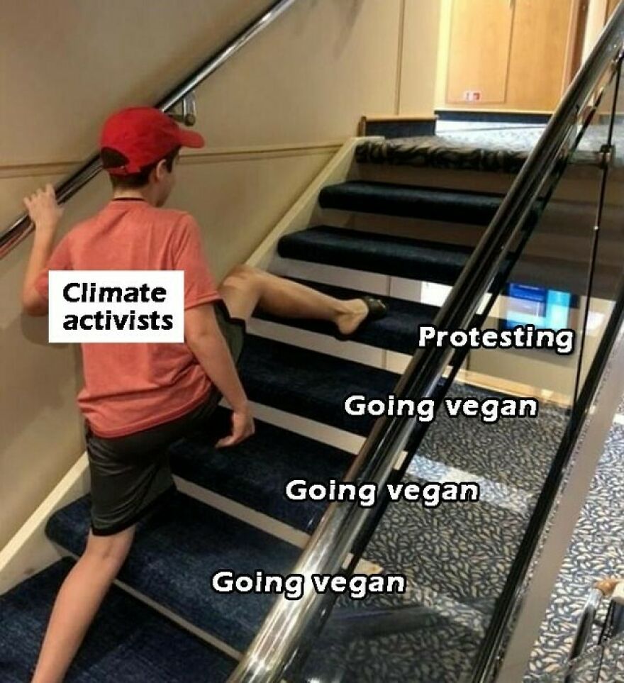 Vegan meme of boy awkwardly climbing stairs labeled with vegan activism methods