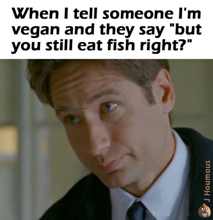 Man reacting to comment about eating fish despite being vegan vegan memes