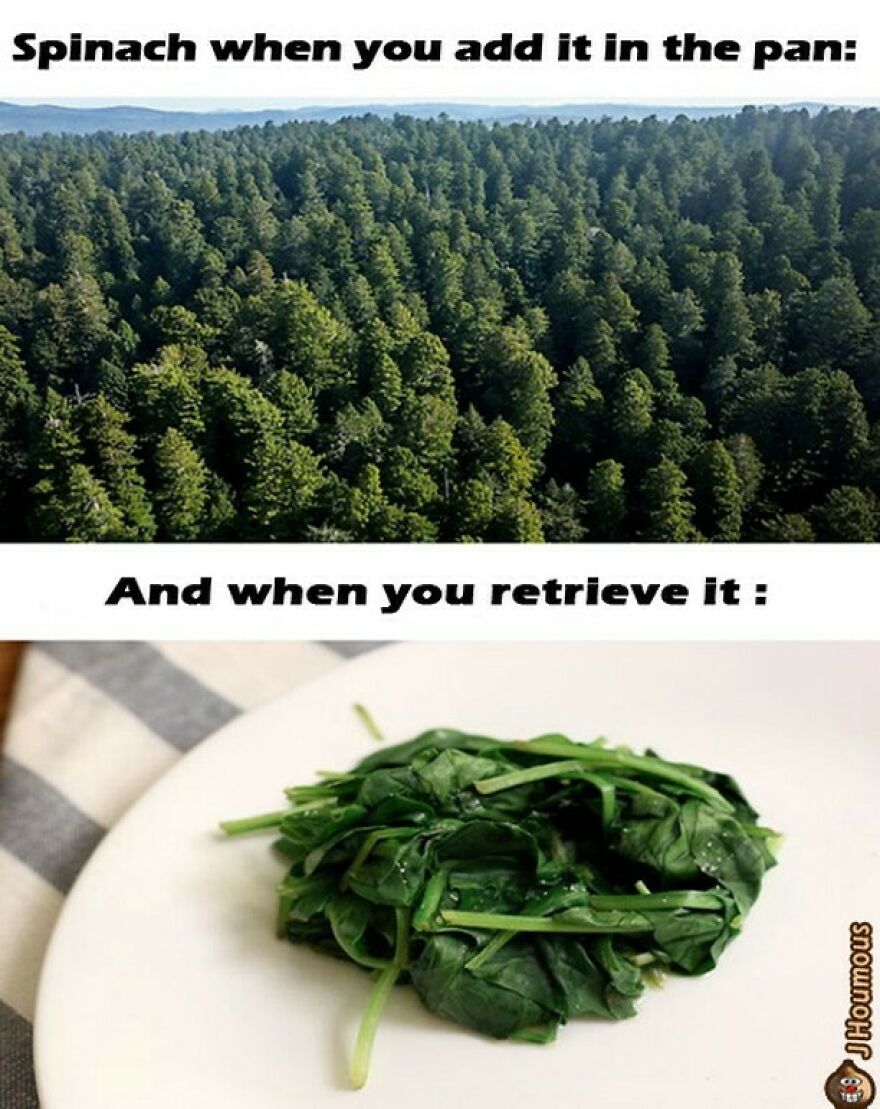 Vegan meme showing spinach shrinking dramatically after cooking in a pan
