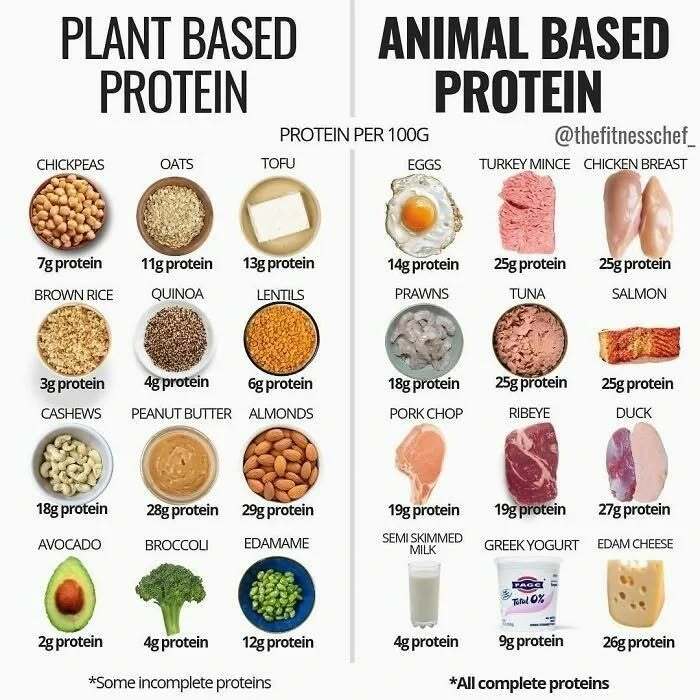 A chart to decide faster by comparing plant-based and animal-based protein sources and their protein content.