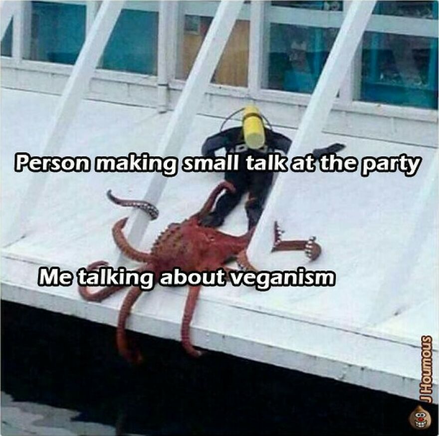 Diver labeled me talking about veganism grabbing octopus labeled person making small talk at party