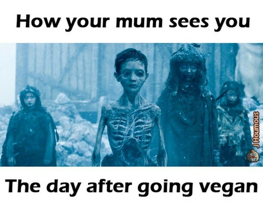 Funny vegan meme showing how your mum sees you the day after going vegan