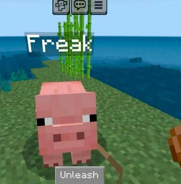 Minecraft pig labeled freak with unleash command