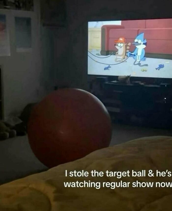 Funny moment with target ball and Regular Show on TV with humor posts