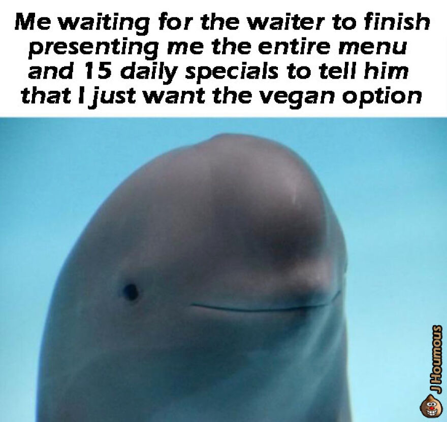 Vegan meme about waiting for waiter to finish menu to ask for vegan option
