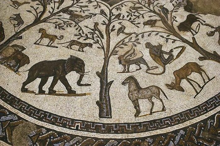 Roman mosaic depicting animals and tree historical treasures