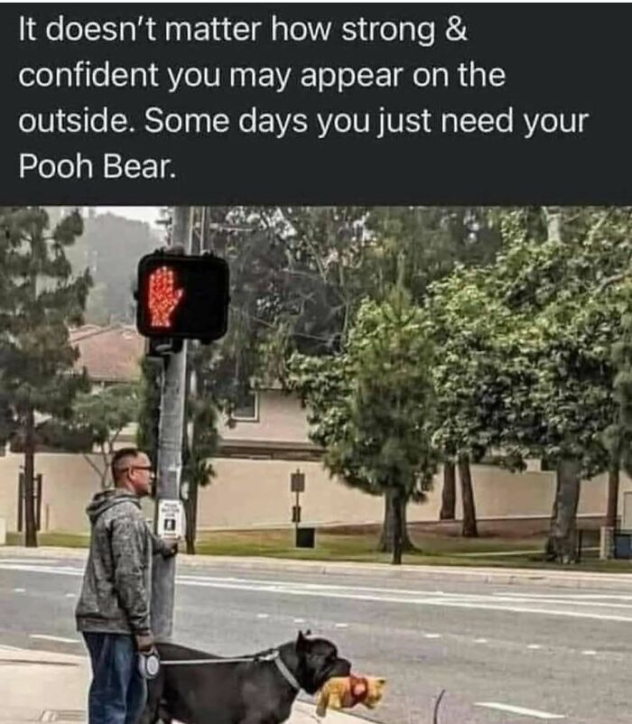 A man and his dog holding a Pooh Bear toy, illustrating soul-healing comfort posts.