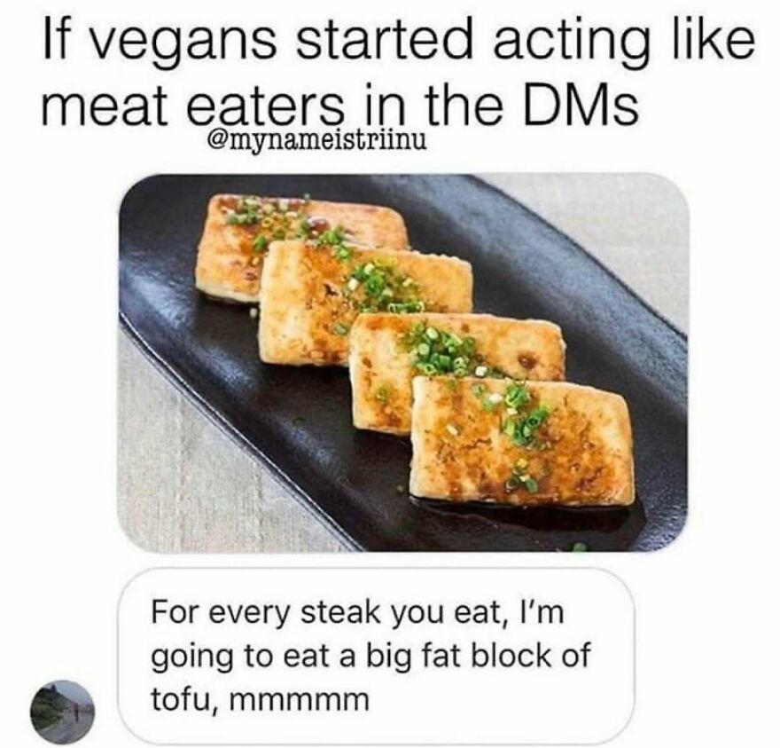 Meme showing tofu as vegan response to steak in direct messages themed on veganism