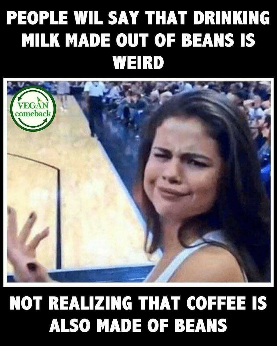 Funny vegan meme about milk and coffee both made from beans