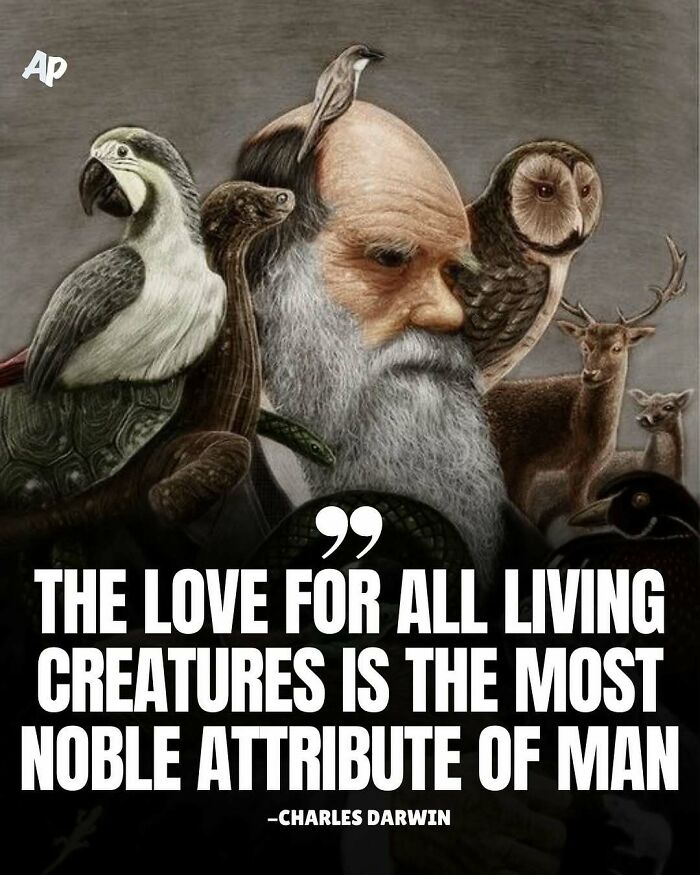 Charles Darwin quote on love for living creatures with animals portrait
