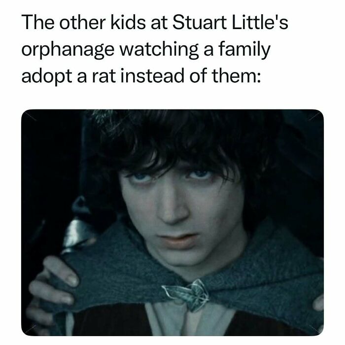 Stuart Little orphanage kids watching a family adopt a rat instead of them