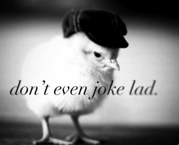 Black and white photo of a chick wearing a cap with caption about joking