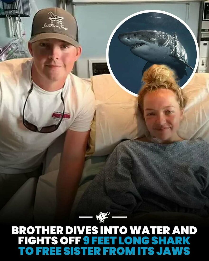 Brother rescues sister from 9 feet long shark by fighting it off in ocean water