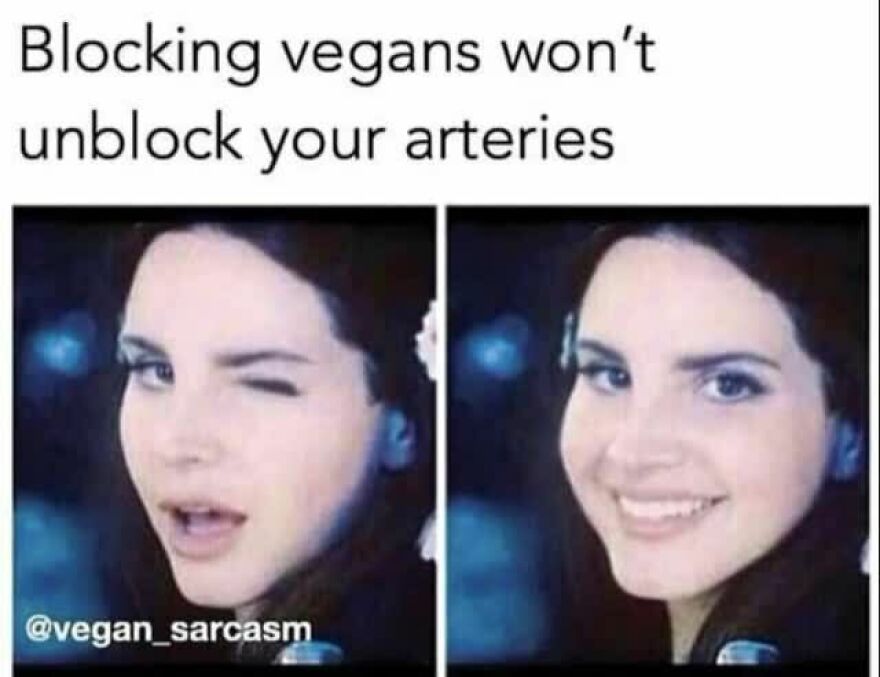 Blocking vegans won't unblock your arteries sarcastic vegan meme
