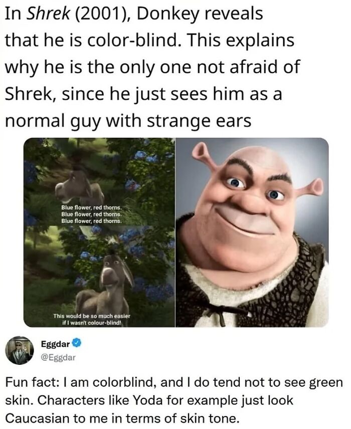 Donkey from Shrek reveals he is colorblind ignoring Shrek's ogre skin tone