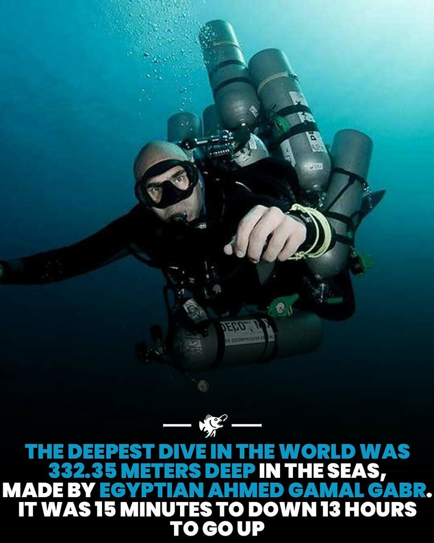 Deepest dive in the world at 332 meters by diver Ahmed Gamal Gabr