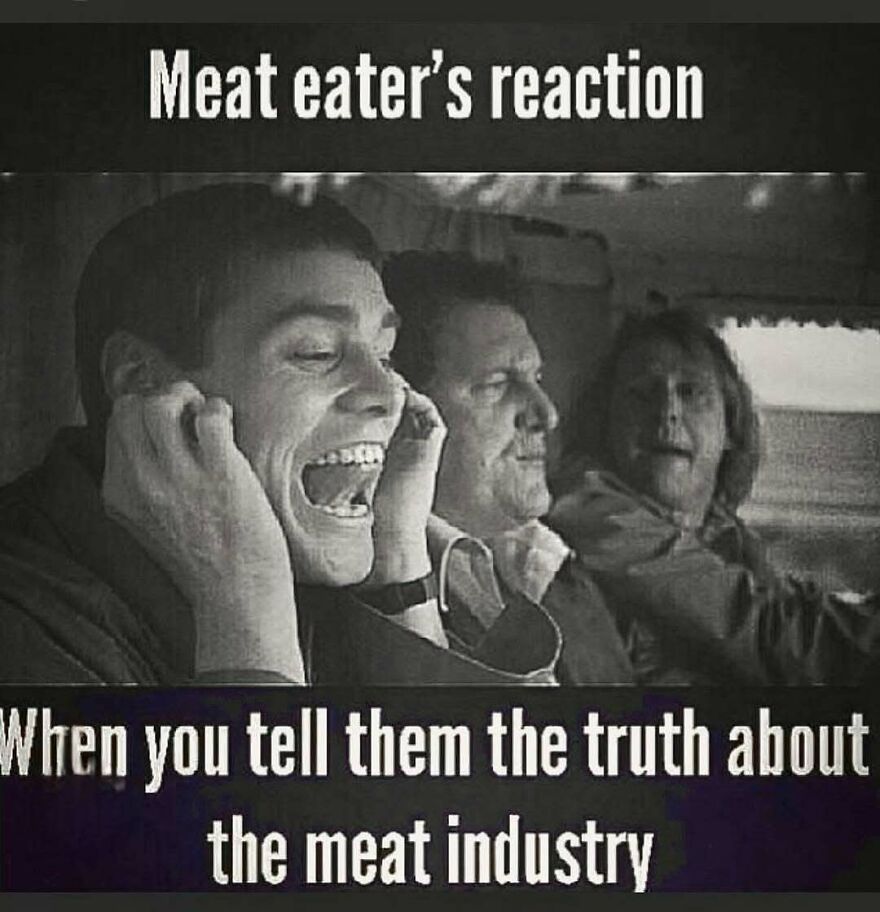 Meat eaters reaction to truth about the meat industry vegan meme