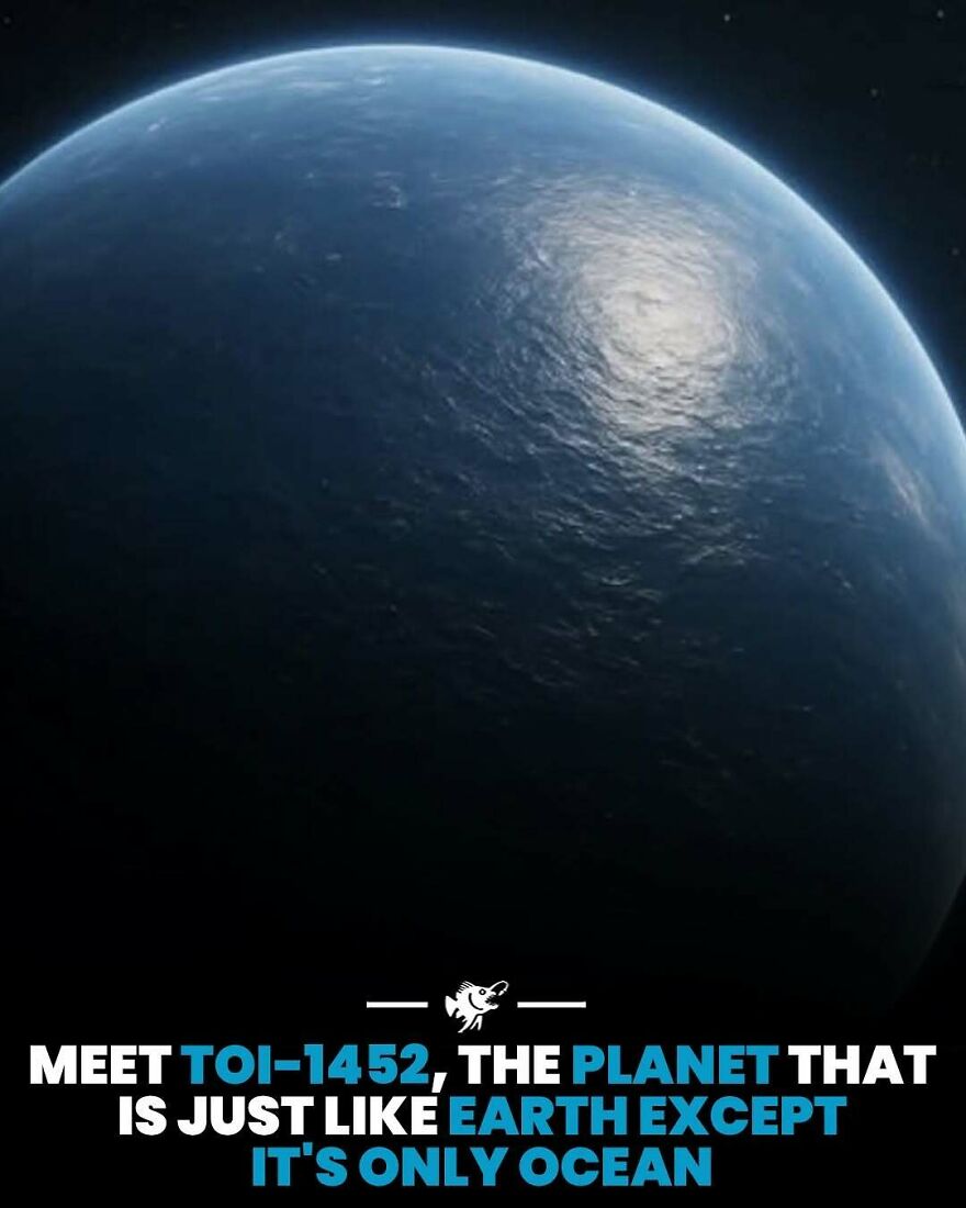 TOI-1452 planet covered entirely by ocean resembling Earth