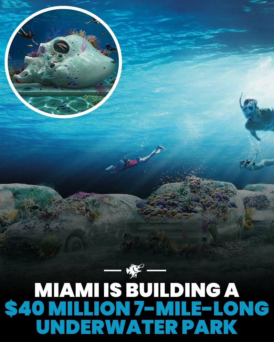 Miami building a 7-mile-long underwater park with coral and swimmers