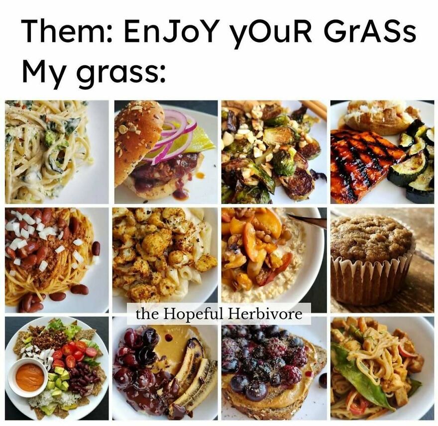 Collage of colorful vegan meals under caption comparing grass with vegan food