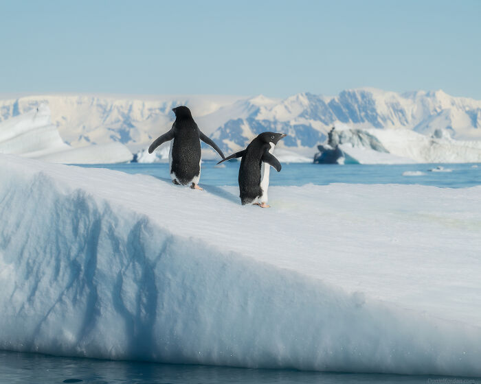 This Photographer Captured 42 Dreamlike Images Of Antarctica’s Beautiful Sunsets, Frozen Peaks, And Endless Plains