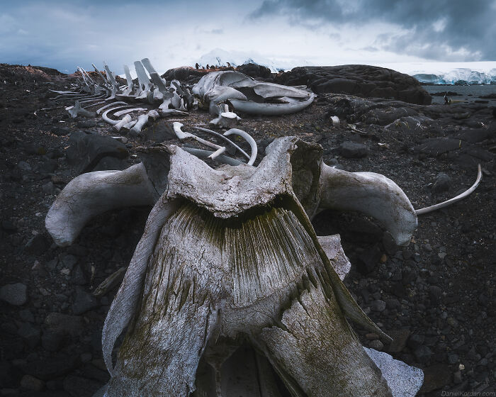 This Photographer Captured 42 Dreamlike Images Of Antarctica’s Beautiful Sunsets, Frozen Peaks, And Endless Plains