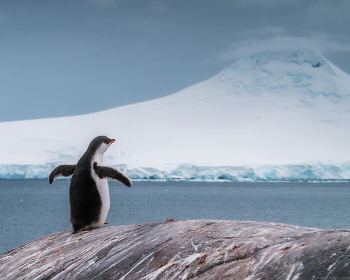 This Photographer Captured 42 Dreamlike Images Of Antarctica’s Beautiful Sunsets, Frozen Peaks, And Endless Plains