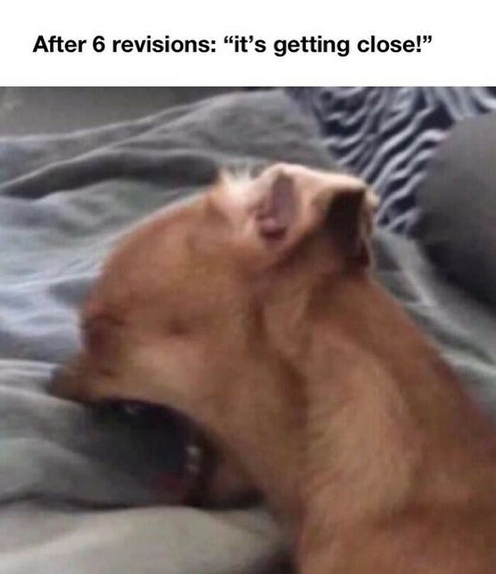 A small dog screaming after 6 revisions, an emotional moment reflecting design humor.