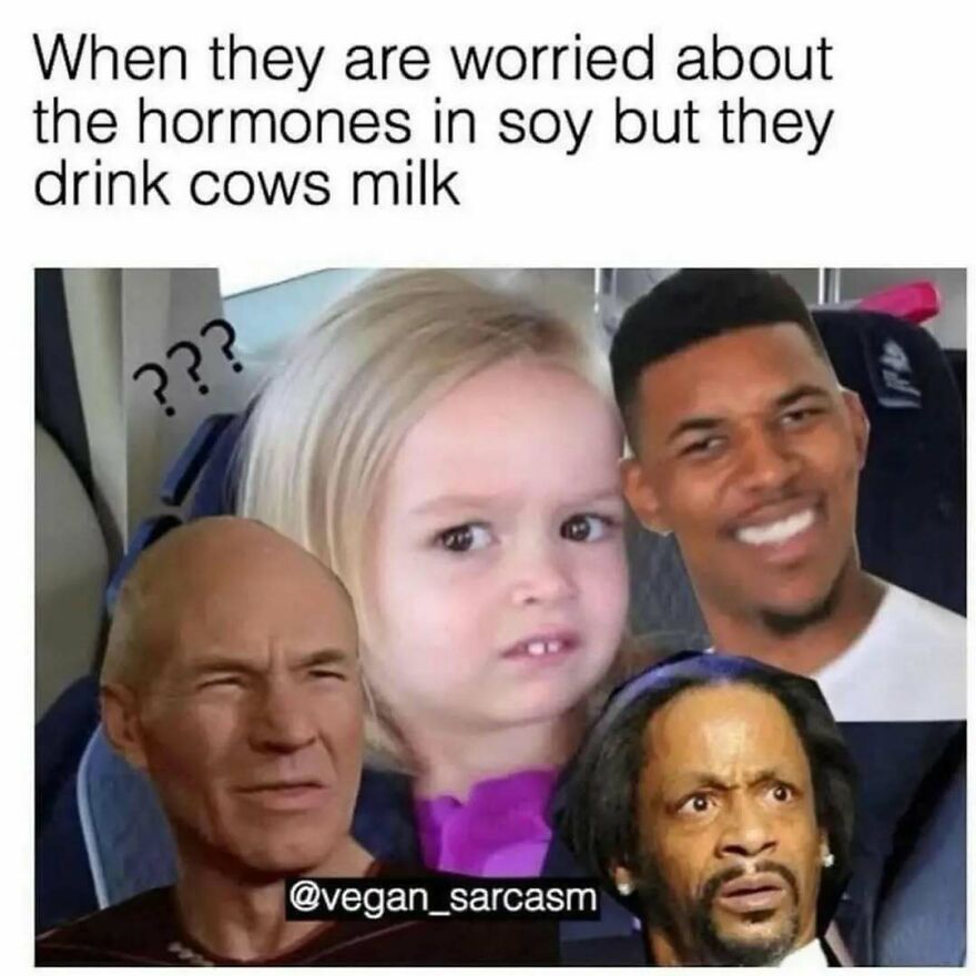 Funny vegan meme about worries over hormones in soy compared to drinking cow's milk