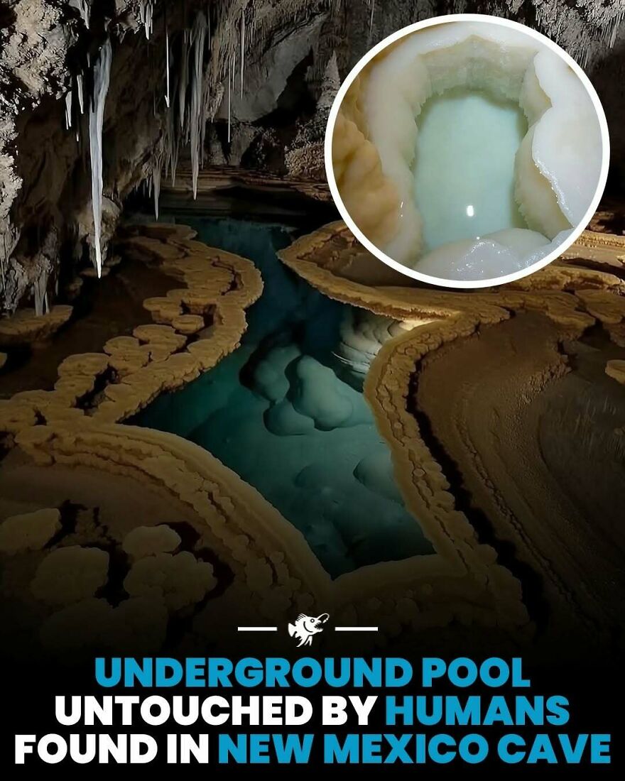 Underground pool untouched by humans found in New Mexico cave