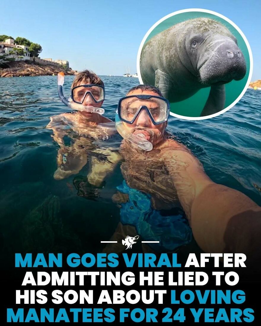Man admits lying about loving manatees for 24 years and goes viral