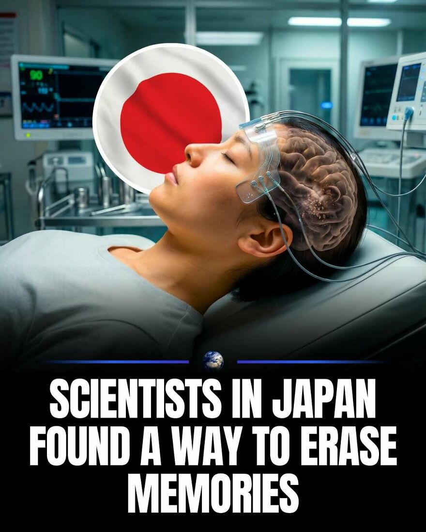 A person with a Japan flag overlaid on their head, showcasing new humanity and planet insights about memory.