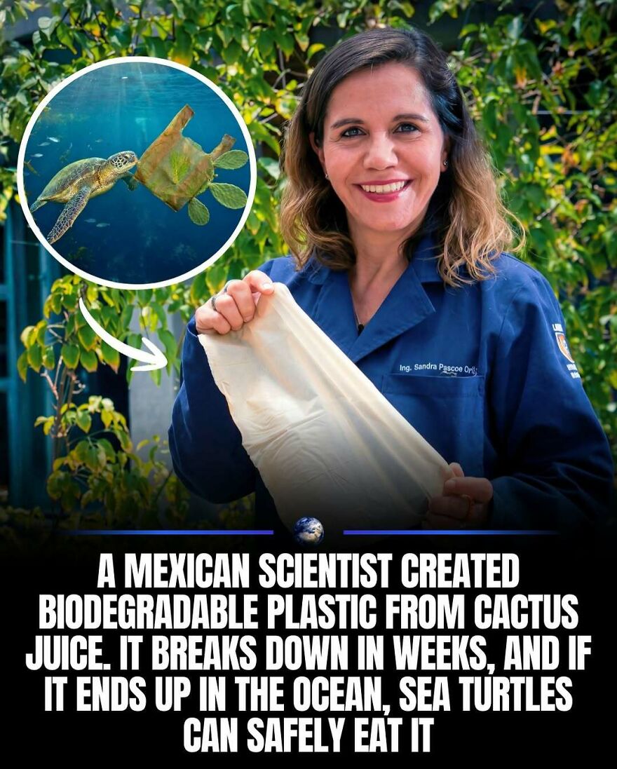 A scientist holding biodegradable plastic, with a sea turtle in a bubble, highlighting humanity's efforts for our planet.