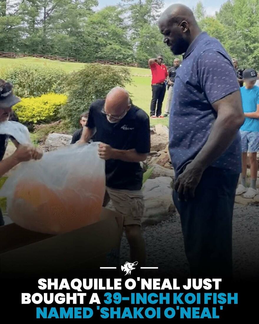 Shaquille O'Neal buys a 39-inch koi fish named Shakoi O'Neal
