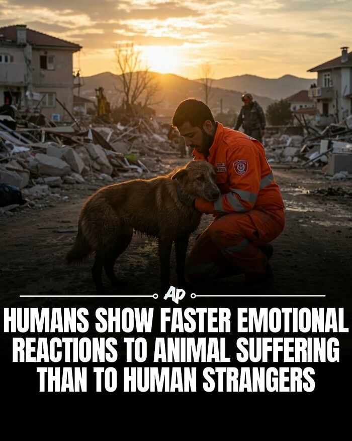Humans show faster emotional reactions to animal suffering than strangers