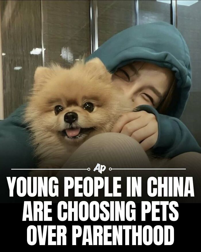 Young people in China prefer pets over parenthood trends