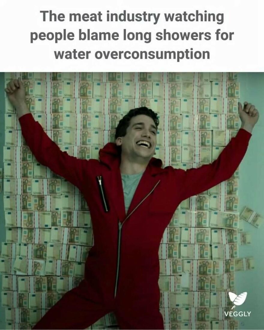 Meat industry laughing at people blaming water overuse on long showers meme