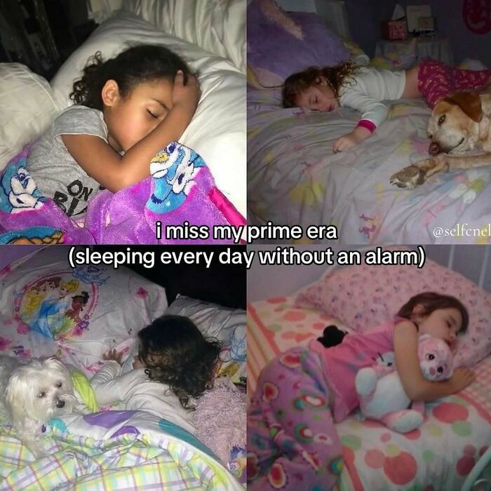 Children and pets sleeping peacefully representing missing the prime era of alarm-free sleep